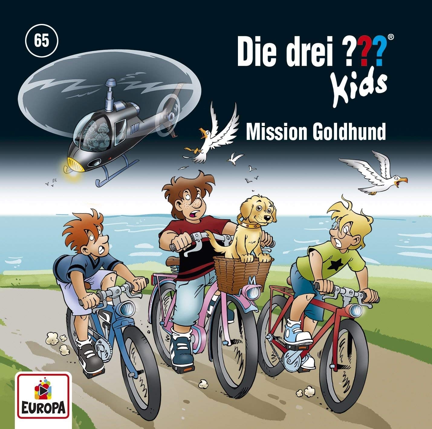 Die drei ??? Fragezeichen Kids - Folge 8: Mission Goldhund  eBay
