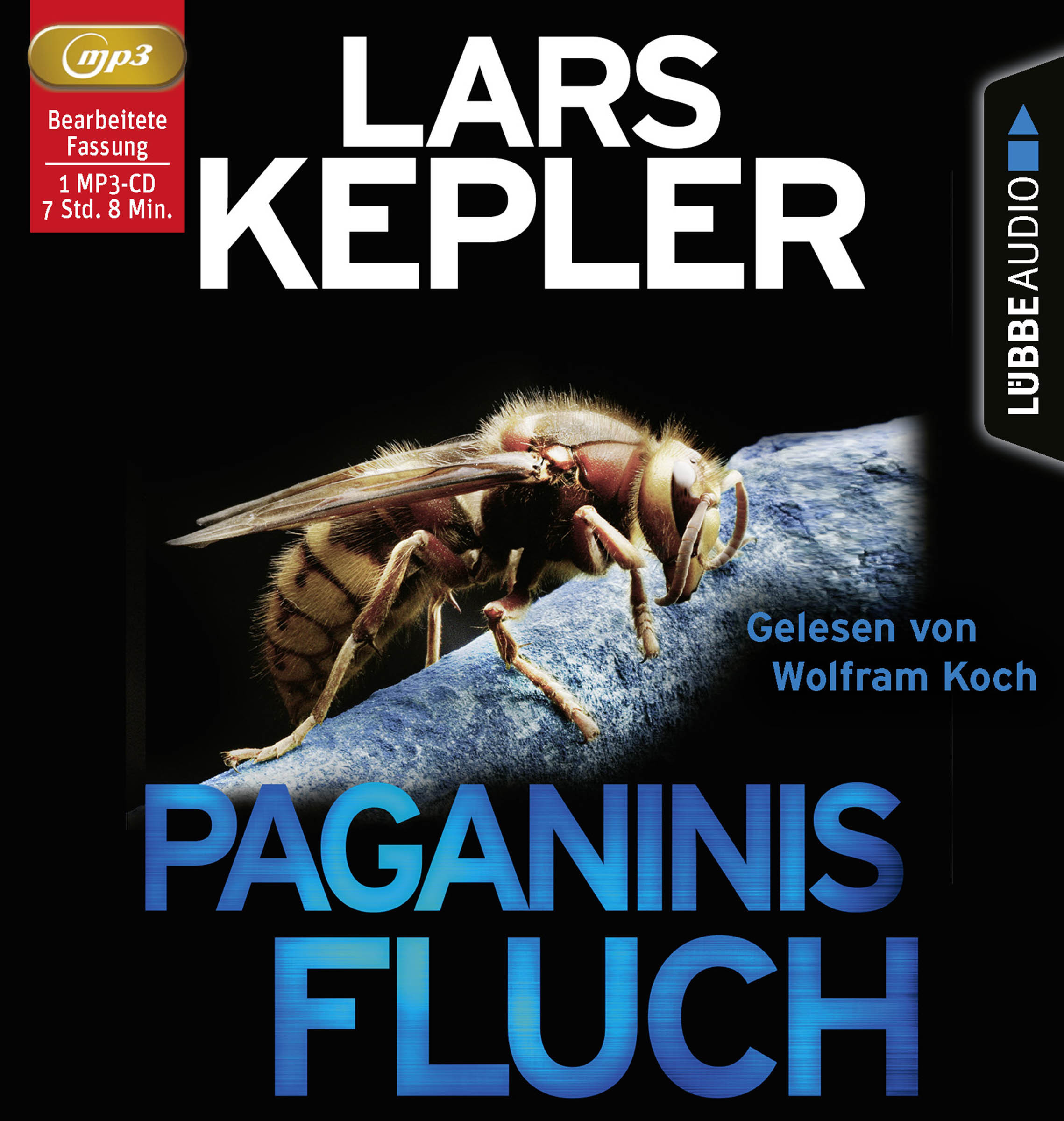 Lars Kepler - Paganinis Fluch: Joona Linna - Teil 2