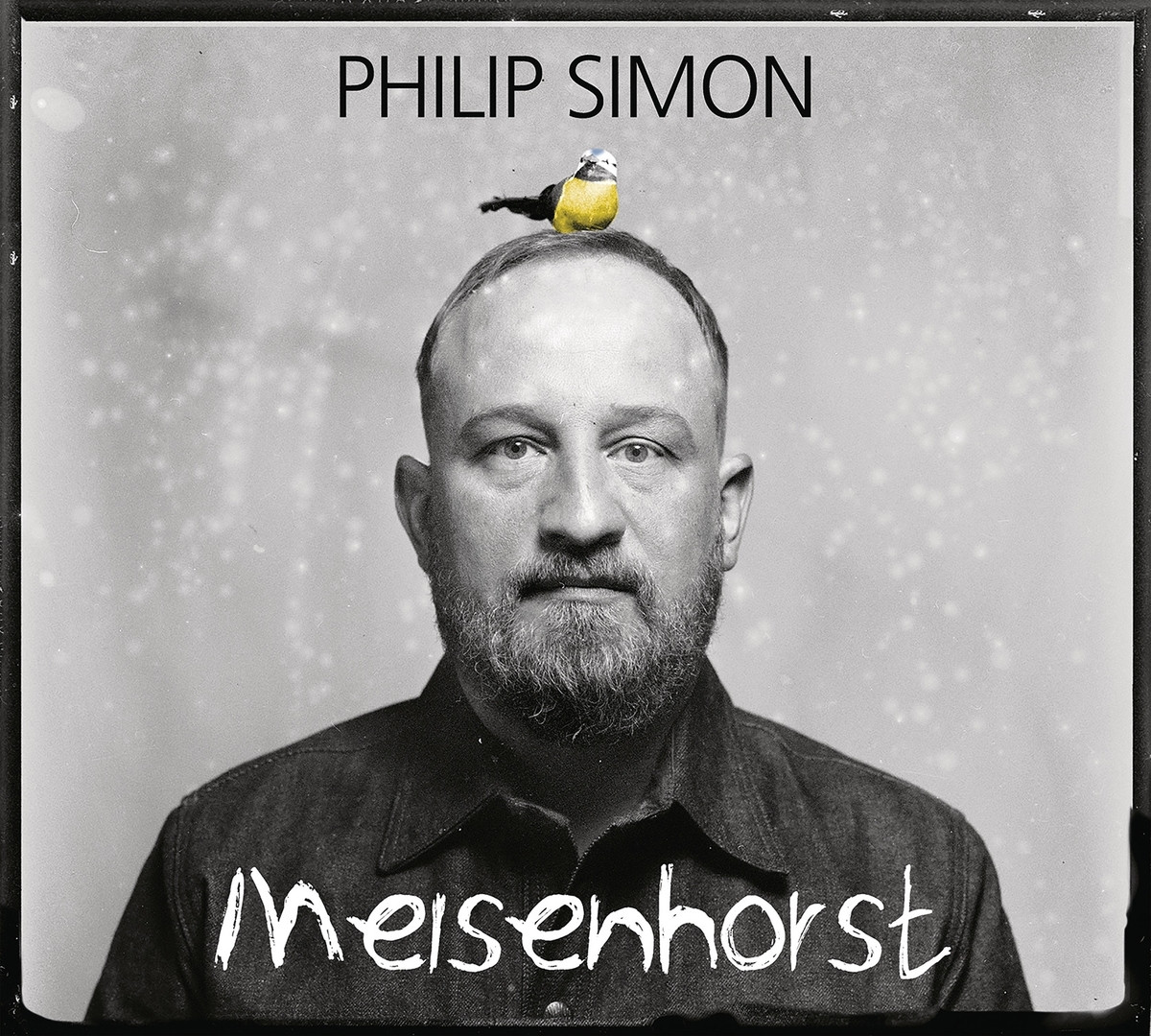 Philip Simon - Meisenhorst