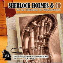 Sherlock Holmes und co. 63 Professor van Dusen-Verhängnisvolle Hoffnung