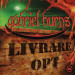 Gabriel Burns 40 Livrare opt - the first score