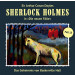 Sherlock Holmes: Die neuen Fälle 15: Baskerville Hall