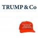 Trump & Co. Die Diktatoren-Box