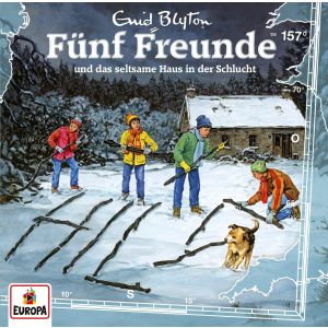 Fünf Freunde 157 und das Seltsame Haus in der Schlucht