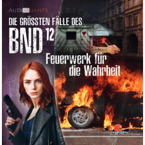 Die größten Fälle des BND 12 - Feuerwerk für die Wahrheit